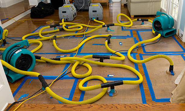 Professional Storm Water Damage Restoration technician working in Litchfield Park, AZ